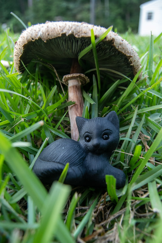 Black Obsidian Cats