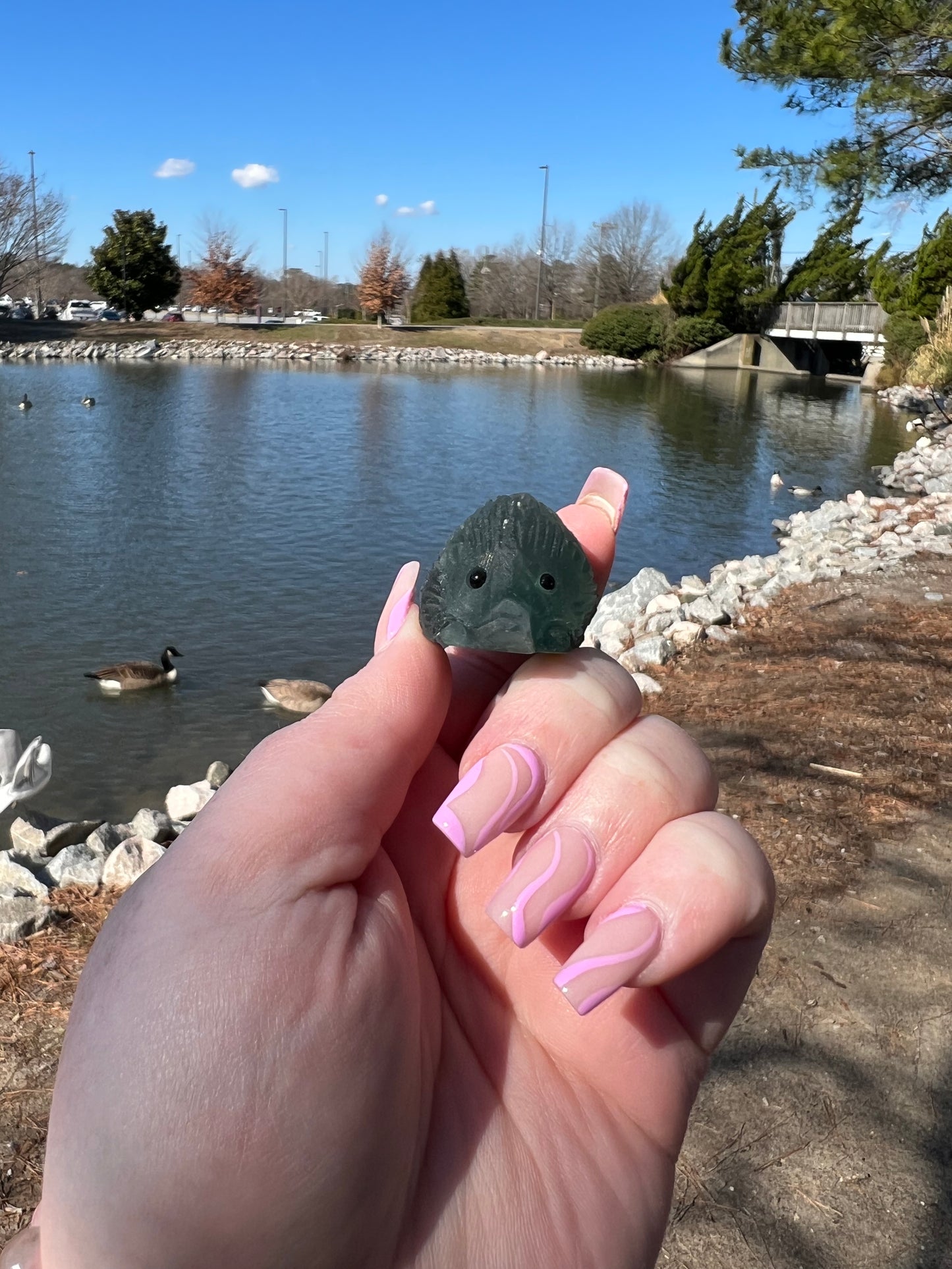 Fluorite Hedgehog