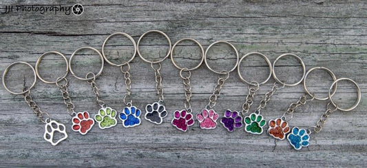 Mystery Paw Print Key Chain