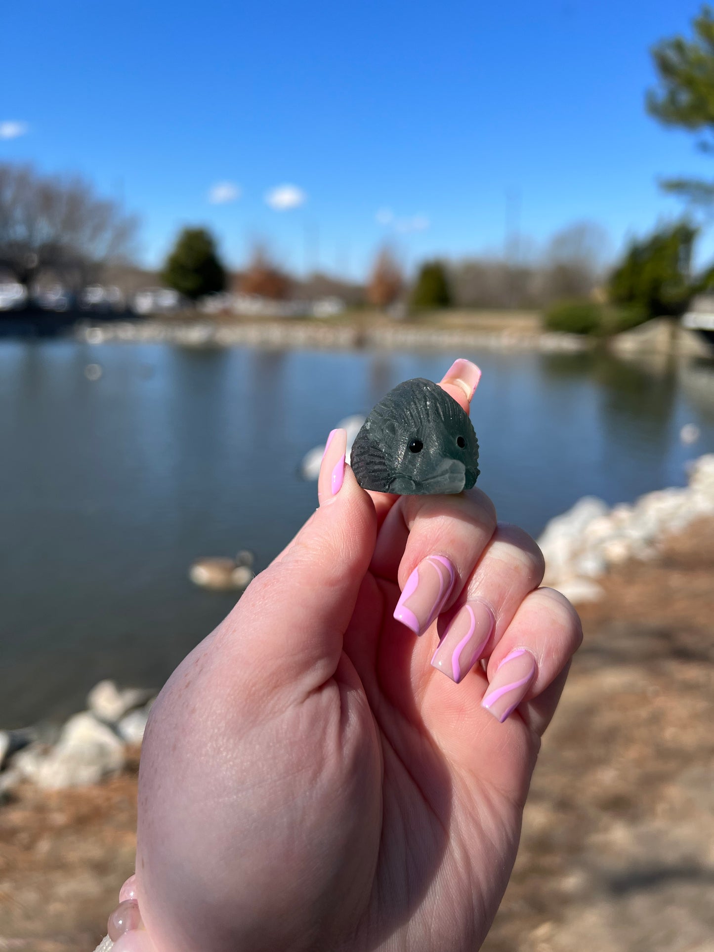 Fluorite Hedgehog