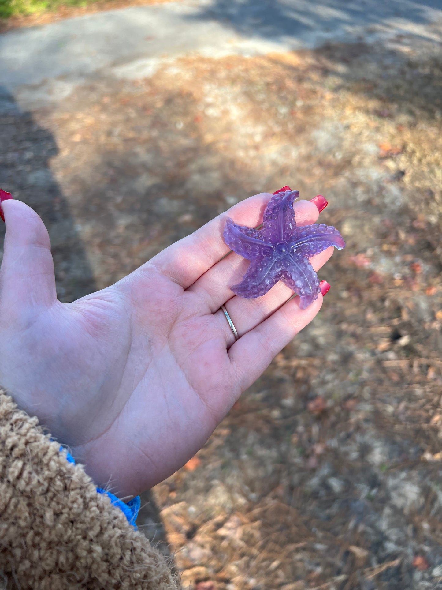 Fluorite StarFish