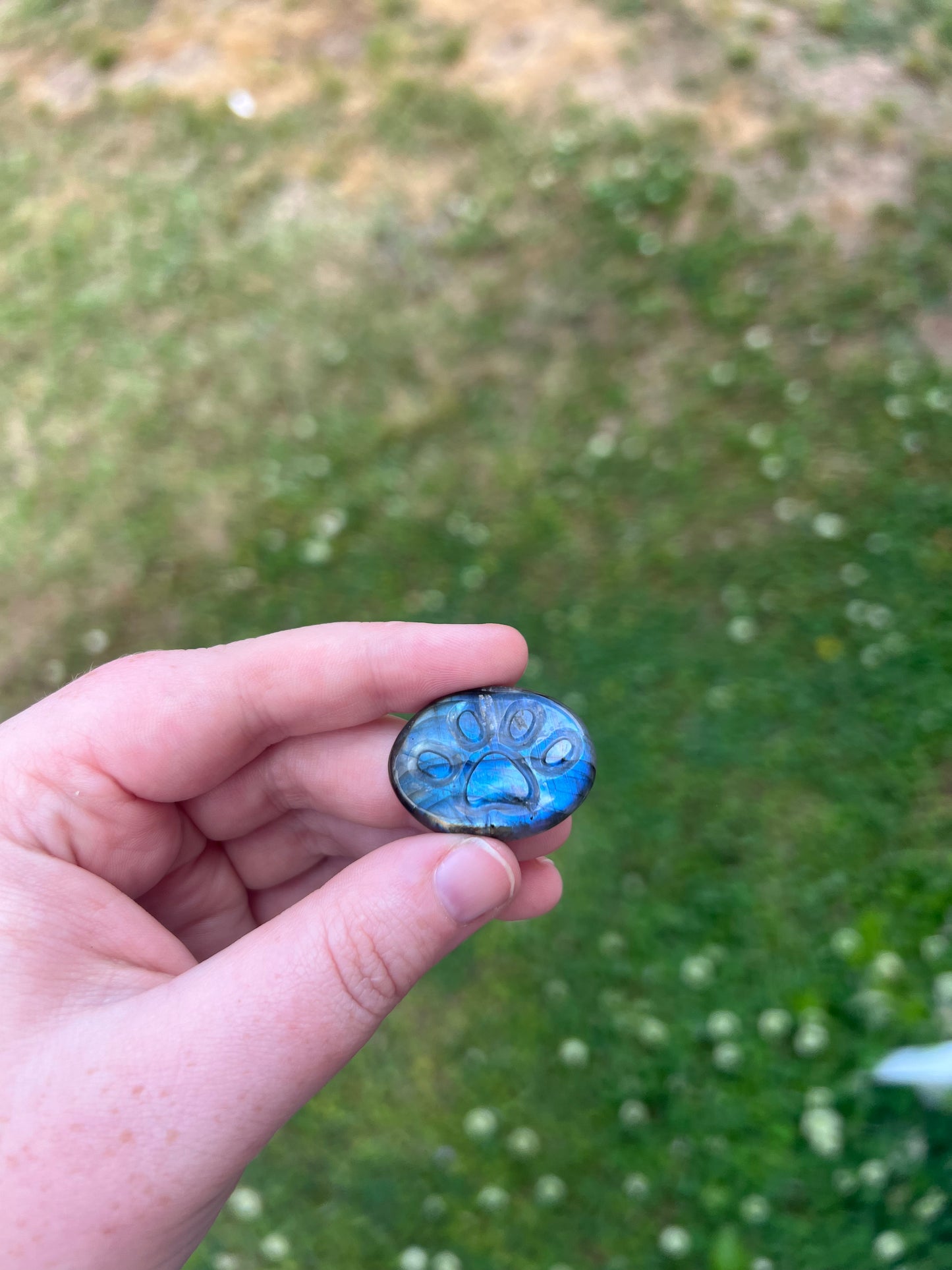 Paw Print Labradorite Cab