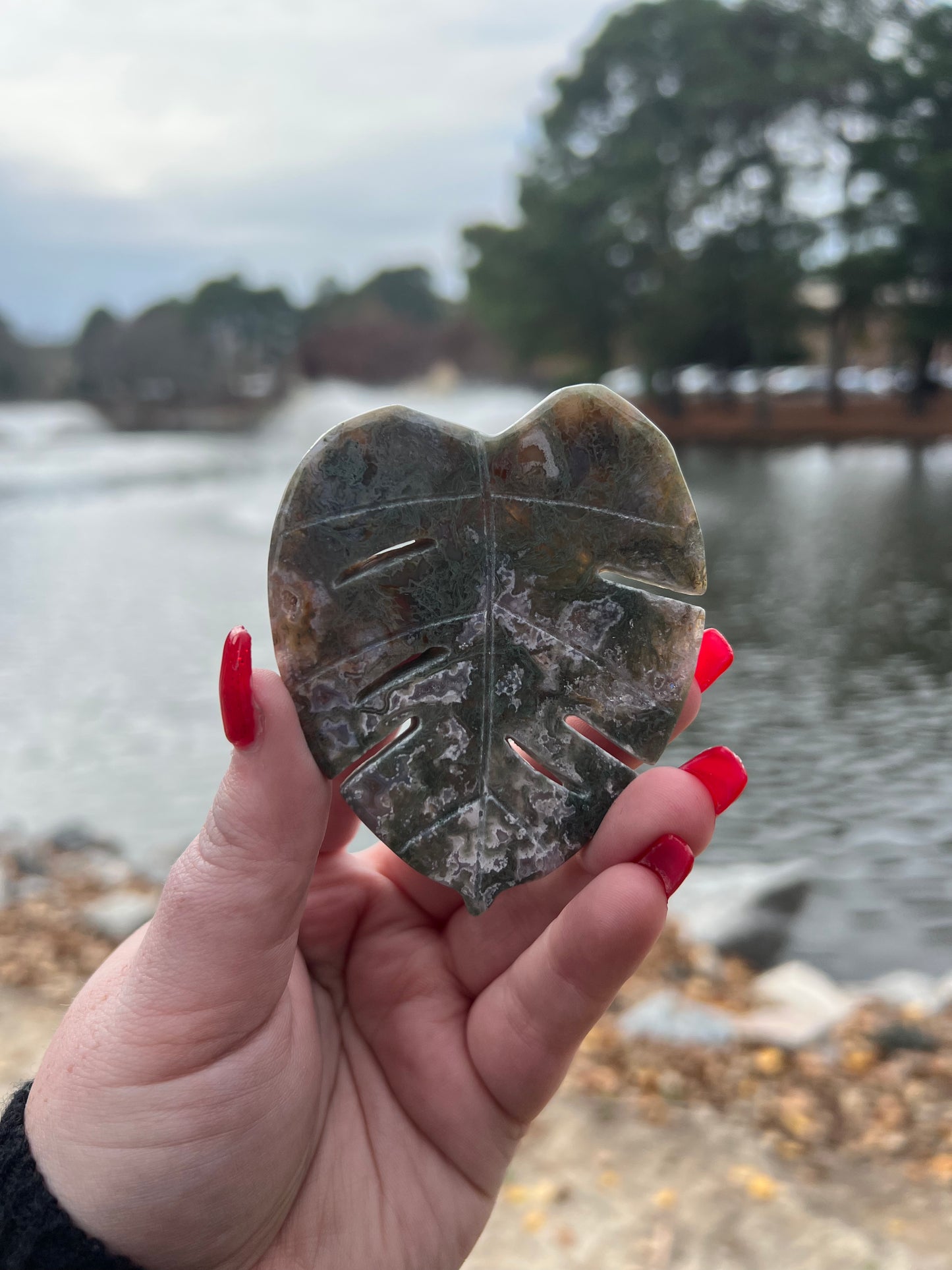 Moss Agate Monstera Leaf